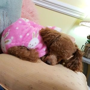 Meet your Posher, Cynthia